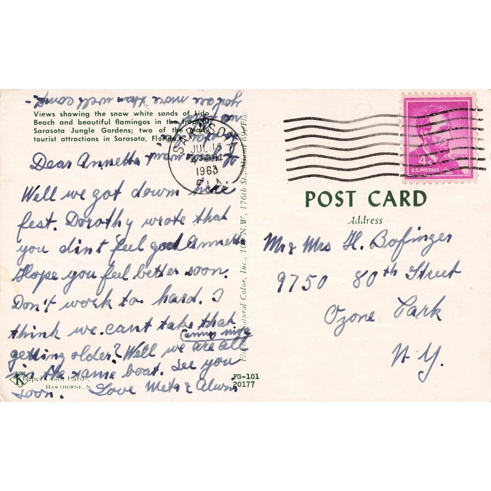 Vtg Greetings from Sarasota Florida Postcard Lido Beach Pink Flamingos 1963 - Picture 2 of 2